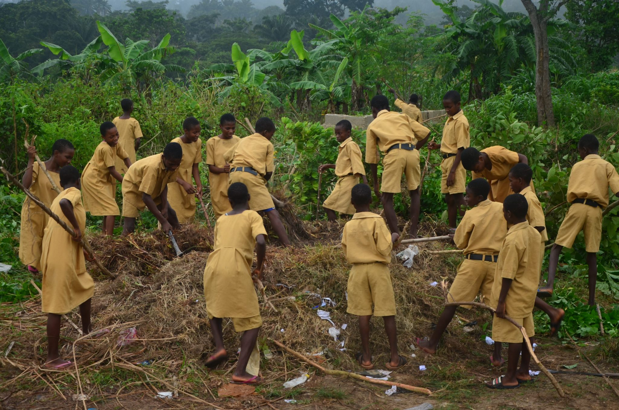 Students of Abolarin College working together on the school farm